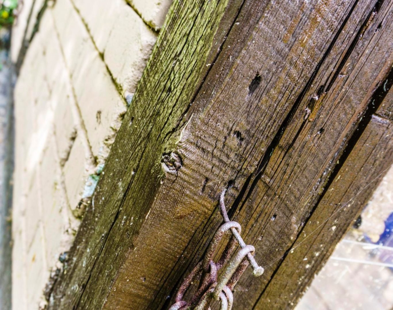 Dry Rot Repair Near Me